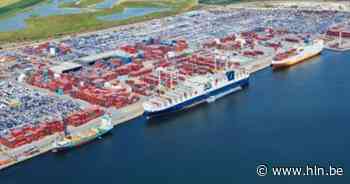 Vijf uithalers met ladder opgepakt op kaai 1333 | Antwerpen | hln.be - Het Laatste Nieuws