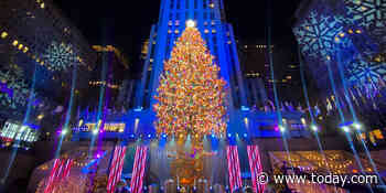 Drumroll please! The Rockefeller Center Christmas tree has been chosen
