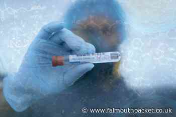 Coronavirus in Cornwall round-up: Saturday, November 6 2021 - Falmouth Packet