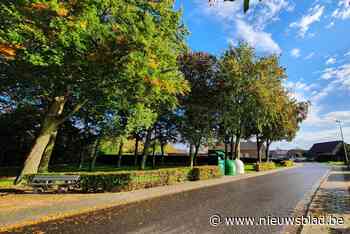 GEMEENTERAAD. Bocholt plaatst mobiele camera 's tegen sluikstorten - Het Nieuwsblad