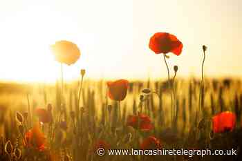 Blackburn with Darwen: Full list of all Remembrance Services