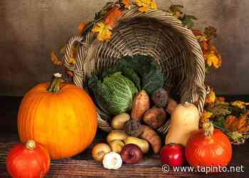 Clara Maass Medical Center is Hosting A Thanksgiving Food Drive to Address Food Insecurity in the Community - TAPinto.net