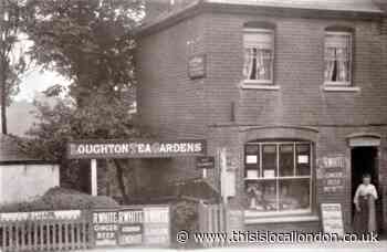 Remembering Loughton Tea Garden for visitors to Epping Forest