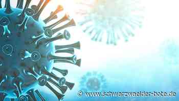 Corona-Kontaktverfolgung fällt - Nur das Calwer Landratsamt kontaktiert noch jeden – vorerst - Schwarzwälder Bote