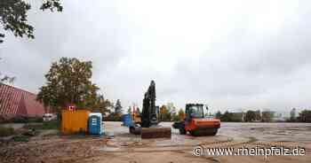 Wie grün wird das neue Hornbach-Logistikzentrum? - Bornheim/Essingen - Rheinpfalz.de