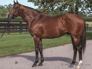 Gormley Tallies Three Winners In One Day - Past The Wire