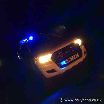 Police called to group setting off fireworks in New Forest - Daily Echo