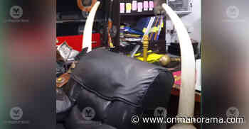 Monson sold fake ivory pieces made of polished camel bones: Forest Dept | Kerala News | Onmanorama - Onmanorama