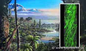 Antarctica breakthrough after scientists found evidence for warm 'ancient forest' in ice - Daily Express