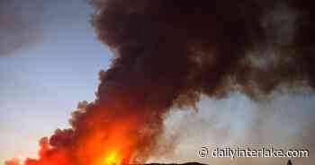 Another forest project, another lawsuit | Daily Inter Lake - Daily Inter Lake