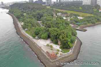 12.5ha coastal forest in Labrador, along Greater Southern Waterfront, to be restored - The Straits Times