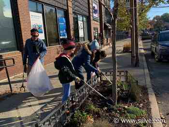 ‘Operation Illegal Sign Takedown’ removes signs, stickers and trash along Forest Avenue - SILive.com