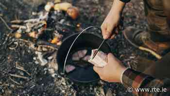 How two friends cooking in an Irish forest went viral on TikTok - RTE.ie