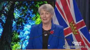 British Columbia announces 2.6 million hectares of old-growth forest will be preserved | Watch News Videos Online - Globalnews.ca