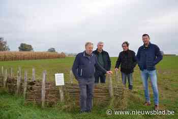 Landbouwers kruisen degens met schepen van Omgeving: “Hij heeft geen respect voor landbouwers”