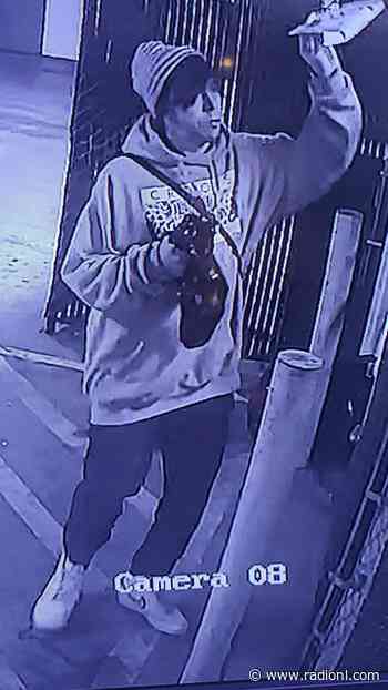 RCMP looking for suspect after theft from truck in downtown Kamloops - radionl.com