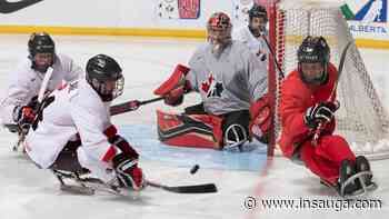Grimsby gets its own team for inaugural Niagara Sledge Hockey League season - insauga.com