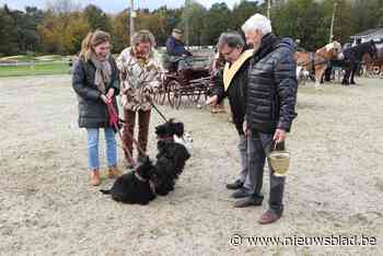 Dierenwijding telt minder paarden dit jaar dan gewoonlijk