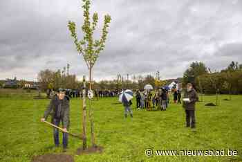 14 bomen geplant ter nagedachtenis van overleden kankerpatiënten