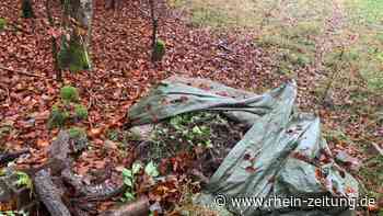 Illegale Müllentsorgung im Staatswald bei Pelm - Kreis Cochem-Zell - Rhein-Zeitung