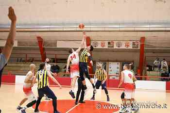 Il Basket Macerata supera nettamente la Victoria Fermo e torna a correre - Serie D Regionale Girone B - Basketmarche.it