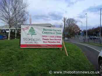 Treemendous Christmas Trees move to Lostock Lane, Bolton site