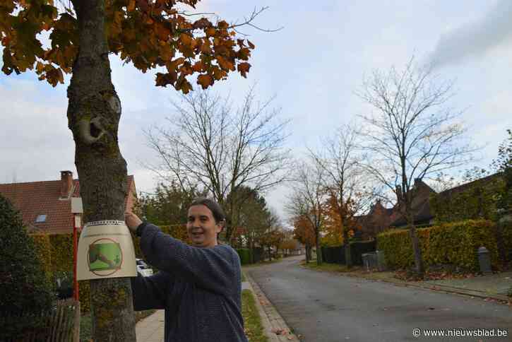 Protest tegen bomenkap in wijk Slangenbos: “Na dertig jaar is een boom niet ‘oud en versleten’”