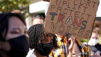 Recent wave of transphobic narratives worries trans community