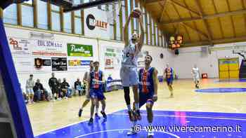 Vigor Basket Matelica in cerca di riscatto: arriva Valdiceppo - Vivere Camerino