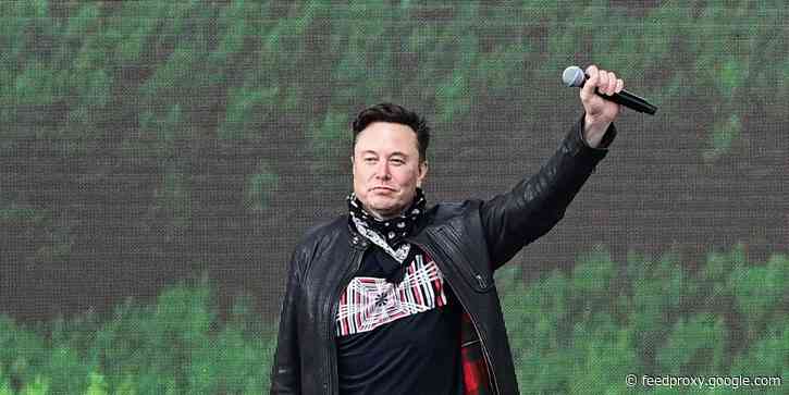 A Twitter poll shouldn't decide whether Tesla CEO Elon Musk pays 'any taxes at all,' Sen. Ron Wyden says