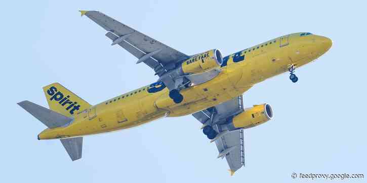 A Spirit Airlines passenger alleges in a lawsuit against the carrier that a flight attendant sexually assaulted him