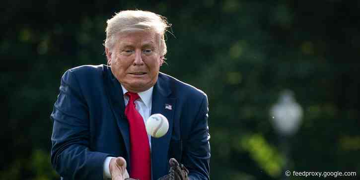 Video captures the moment Donald Trump accidentally hit a child on the head with a baseball at a World Series game