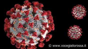 LIVE COVID-19 - Capua: "Puntare tutto sulle terze dosi". La situazione vaccini in Italia. Aifa,... - Voce Giallo Rossa