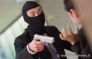 SANTA MARIA CAPUA VETERE – Rapine, titolari si oppongono ai malviventi: uno fugge, l'altro arrestato. Ferito un passante - Paesenews