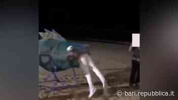 Bari, gli autori del tuffo nel pesce mangiaplastica escono allo scoperto e si scusano: "Vogliamo rimediare" - La Repubblica