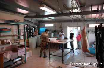 Terra dei Fuochi, action day Interforze ad Ercolano e Capua - La Rampa