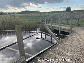 Wild Things Column: Mindless vandalism at nature reserve