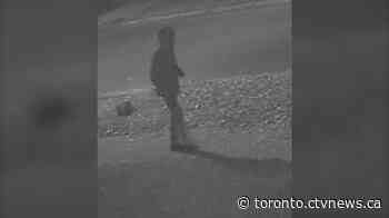 Toronto police seek public's help to identify suspect wanted in aggravated assault probe - CTV News Toronto