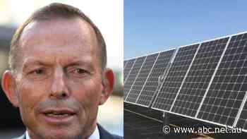How Tony Abbott helped build a bridge to net zero