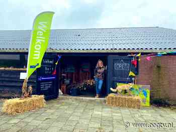 Honderd kinderen halen wilde lijsterbes op bij Natuurmonumenten: “Een gezellig feestje” - Oog TV