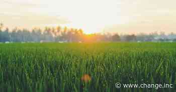 Rieks Smook wil met start-up Grassa meer uit gras halen: "Het is een enorm potent maar ondergewaardeerd gewas" - Change Inc.