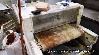 Crotone, condizioni igieniche precarie e personale non assunto. Sanzionato un panificio - Gazzetta del Sud - Edizione Catanzaro, Crotone, Vibo