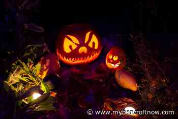 Don't feed your pumpkins to wildlife - mybancroftnow.com