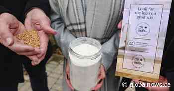 Eco-label program highlights benefits of winter wheat across Canada