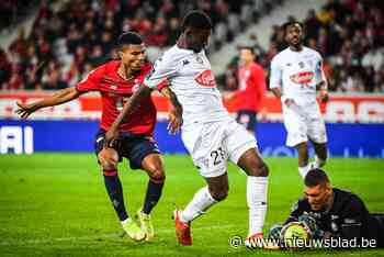 Lille, waar Amadou Onana rood krijgt, komt op eigen veld niet verder dan 1-1 tegen Angers - Het Nieuwsblad