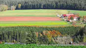 Schöne Ausblicke - Unterwegs von St. Georgen über Hardt nach Schramberg - Schwarzwälder Bote