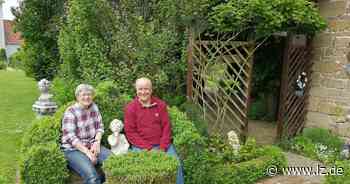 In Oerders Garten summt, brummt und zwitschert es - Lippische Landes-Zeitung