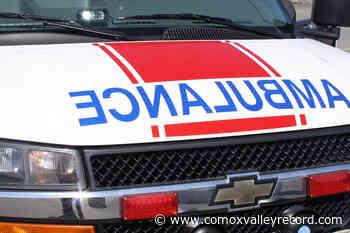 Helicopter crashes in forest on Vancouver Island, pilot injured – Comox Valley Record - Comox Valley Record