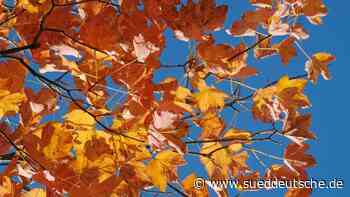 Herbstwetter in NRW wird freundlich und trocken - Süddeutsche Zeitung