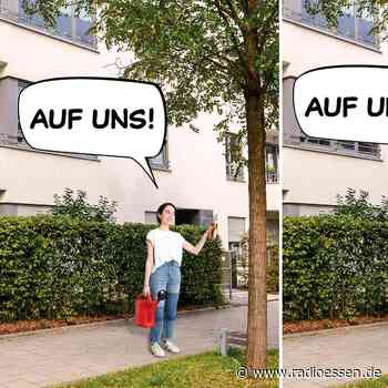 Essen braucht noch mehr Wassertanks für Bäume - Mehr Mithelfende gesucht - Radio Essen